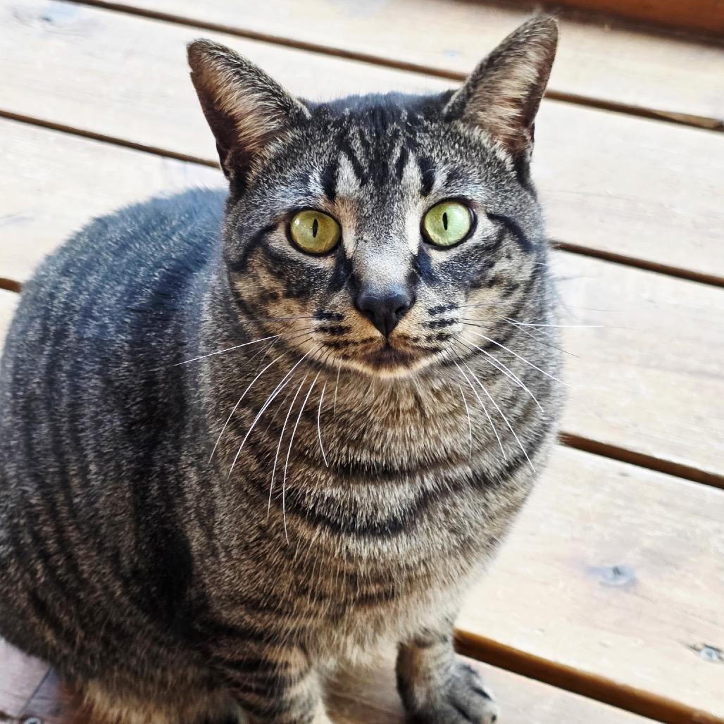 Theo — thumbnail 2