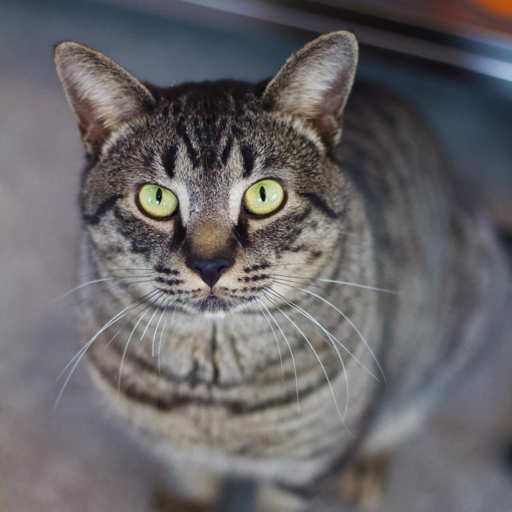 Theo — thumbnail 4