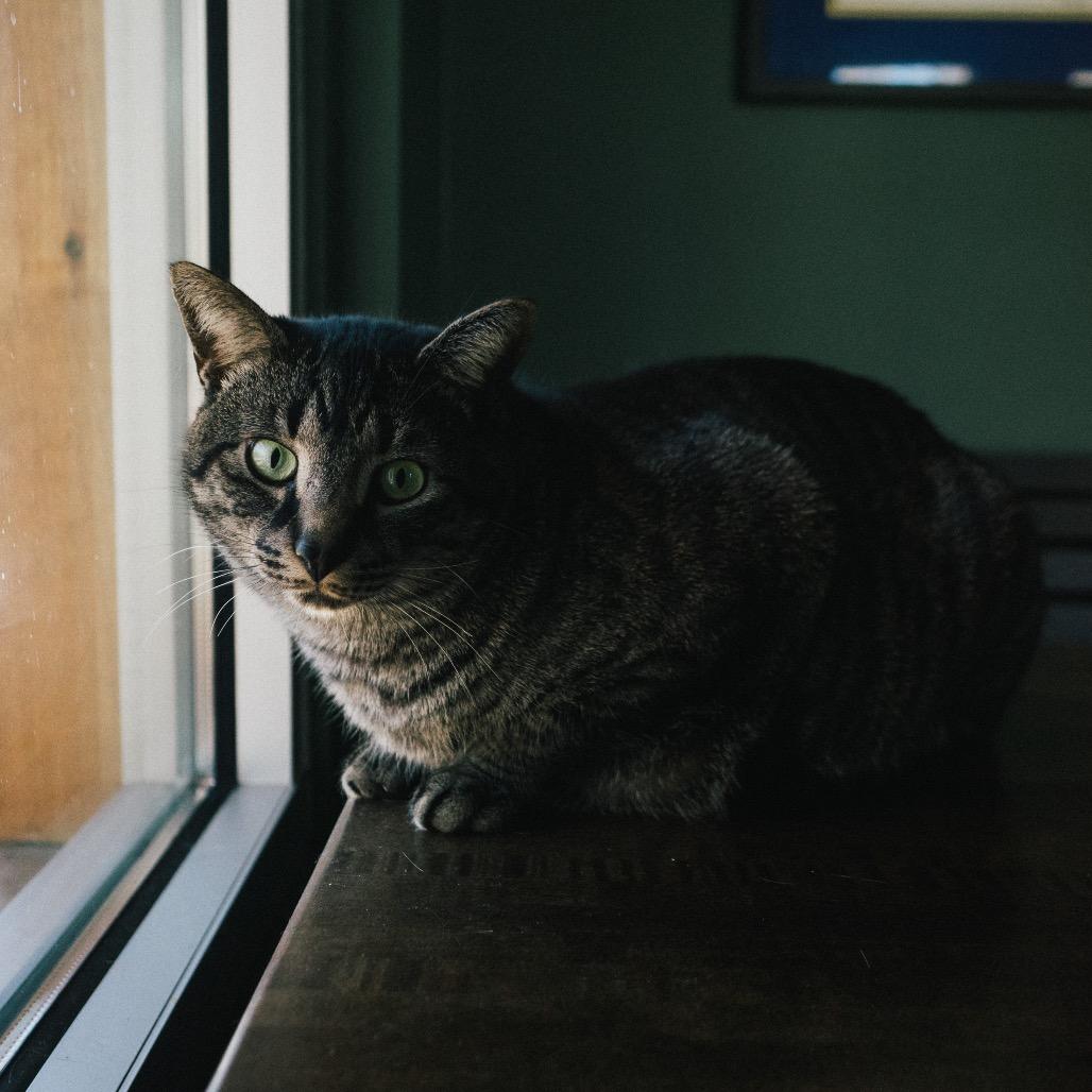 Theo — thumbnail 5