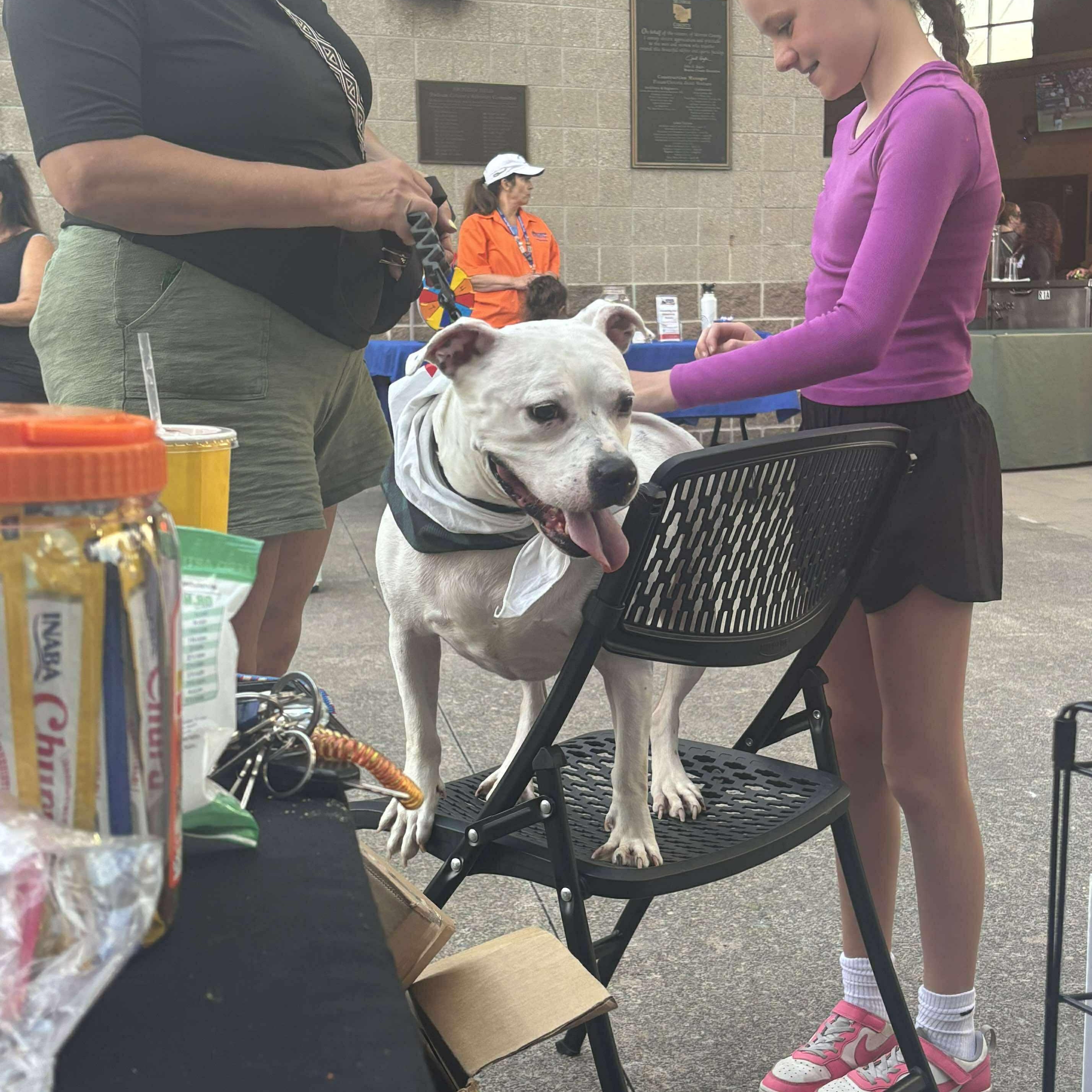 Freckles: Foster-to-adopt available