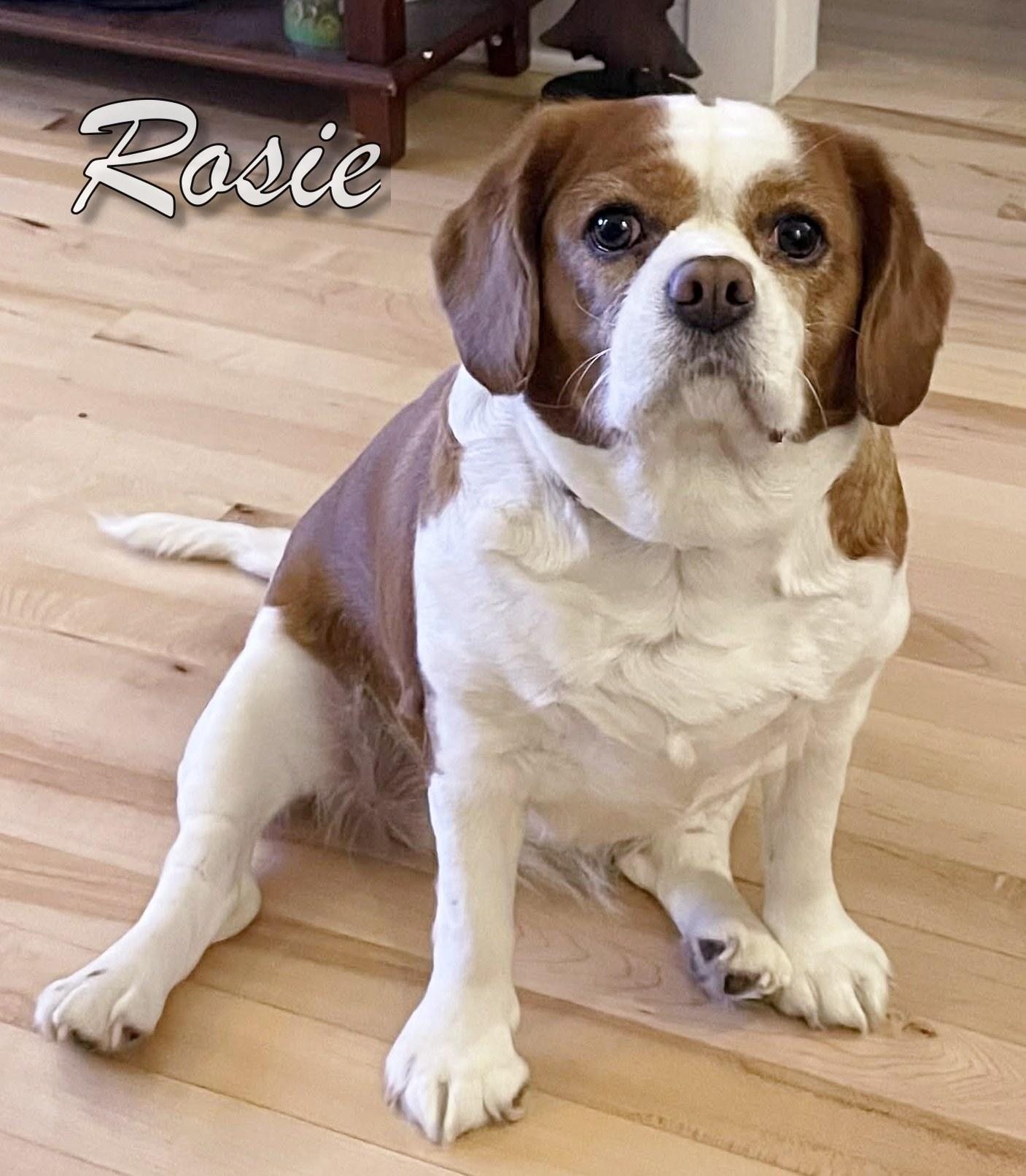 Rosie