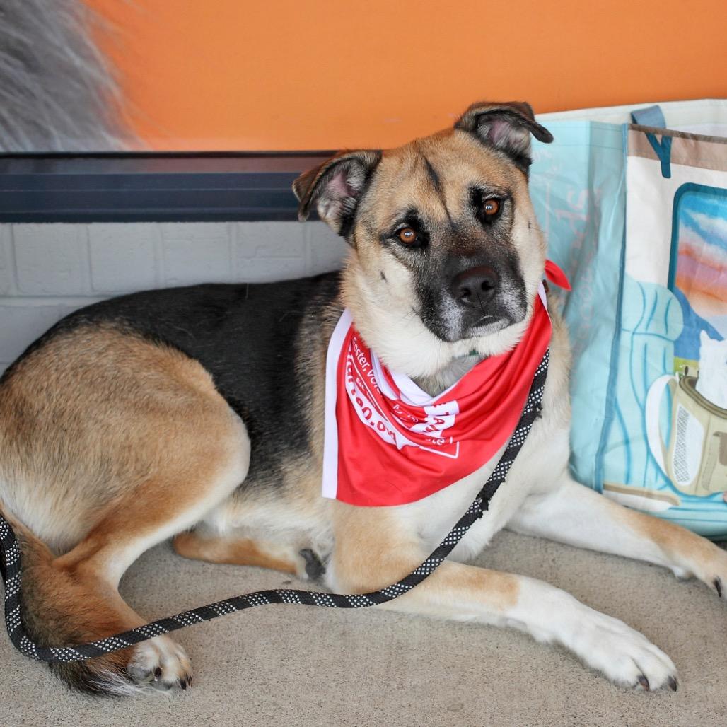 Marcos C — thumbnail 2