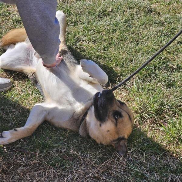 Marcos C — thumbnail 3