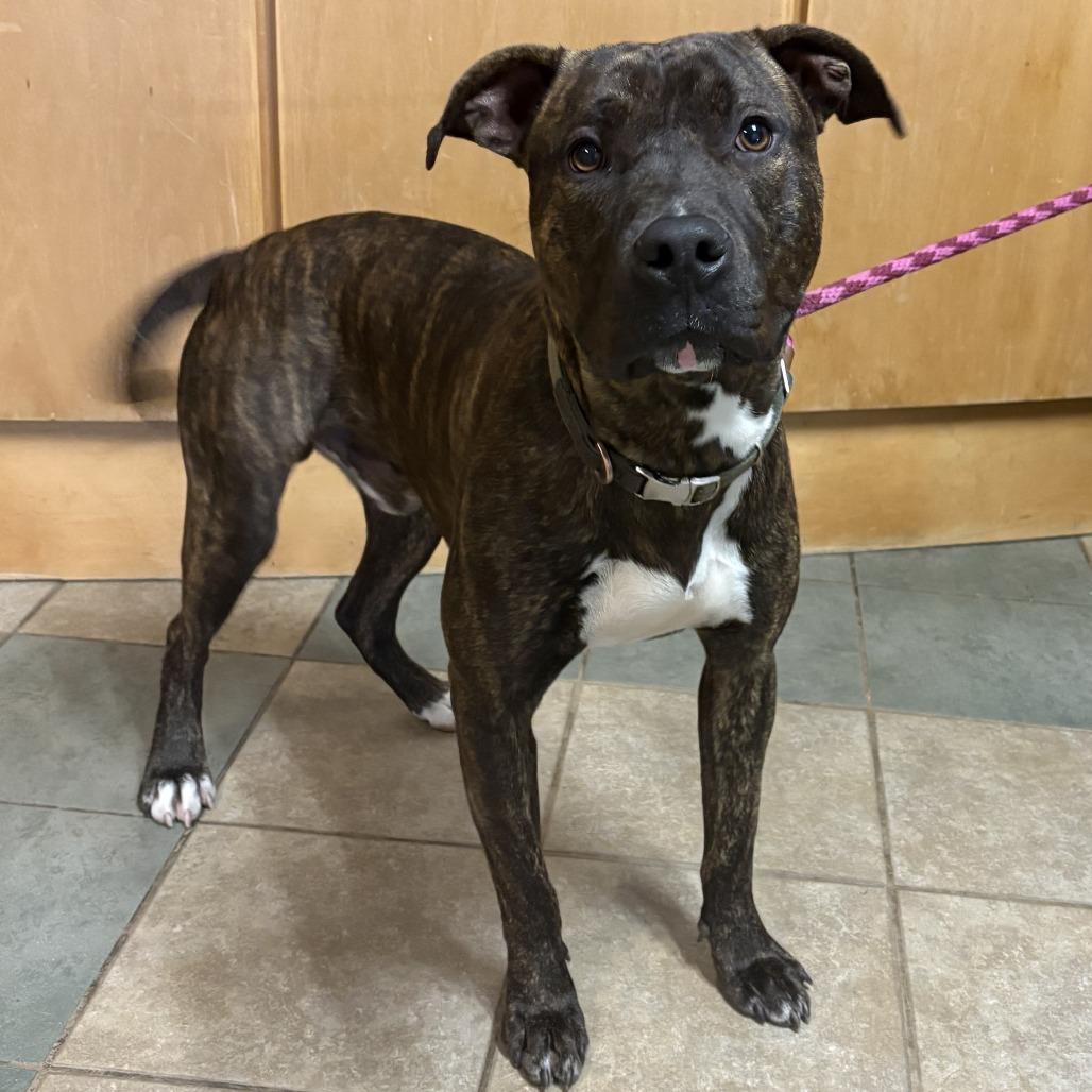 Keebler — thumbnail 5