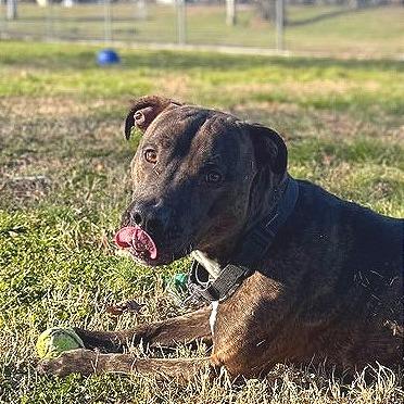 Keebler — thumbnail 6