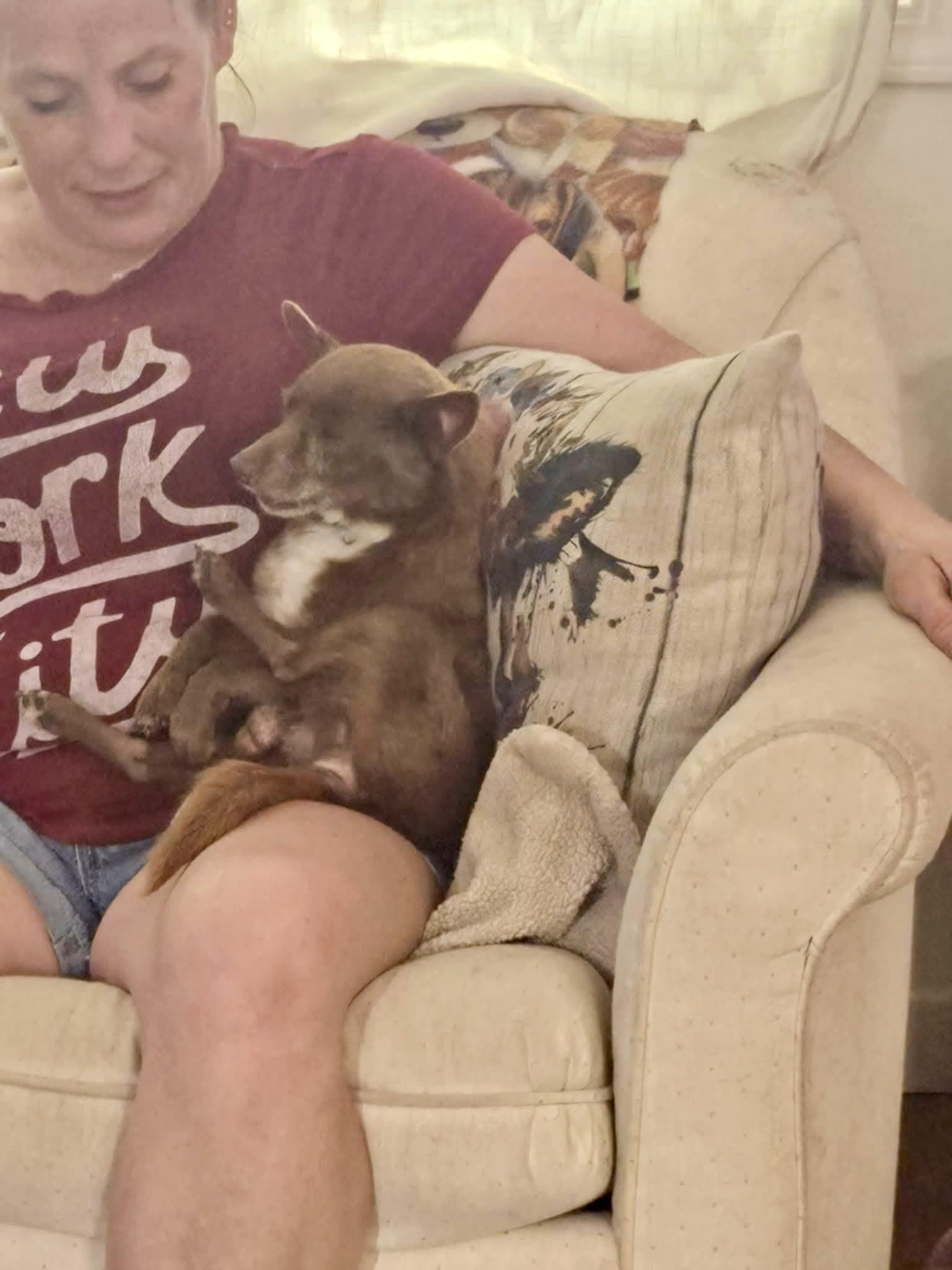 Riggs, a Adoptable mixed breed in Roseburg, OR image 3/5