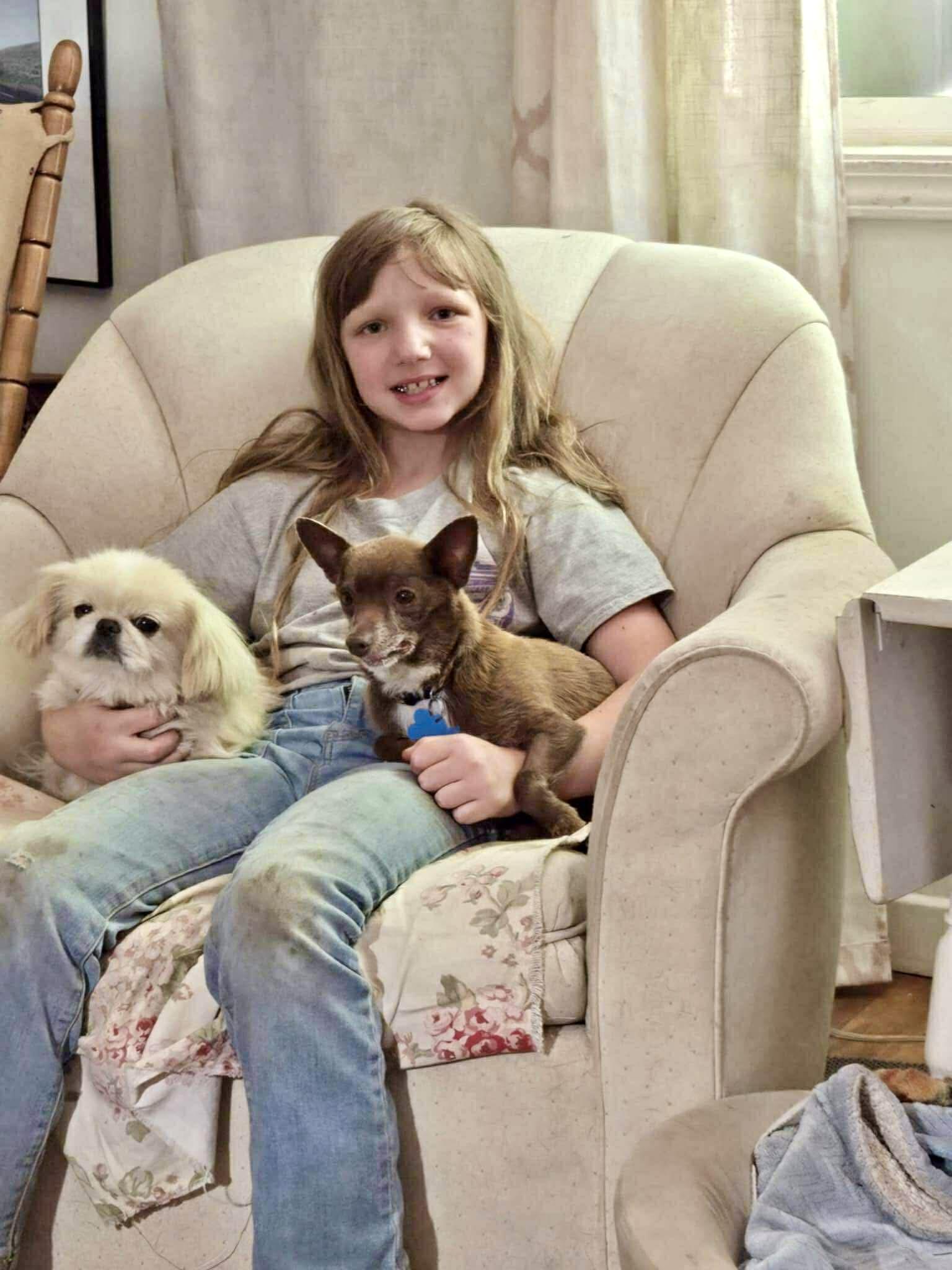 Riggs, a Adoptable mixed breed in Roseburg, OR image 4/5