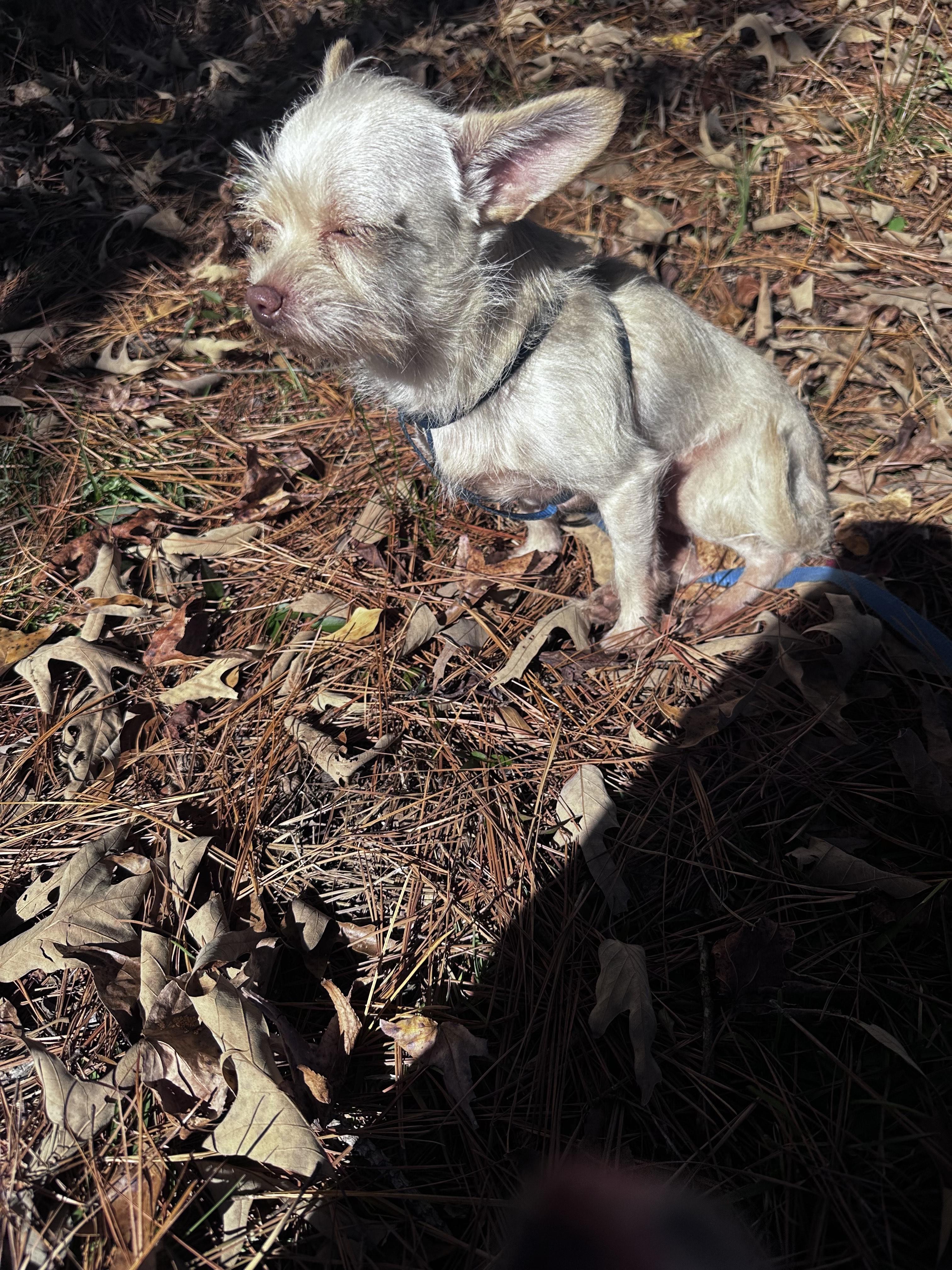 Mary & Larry- URGENT- Due to incoming weather!