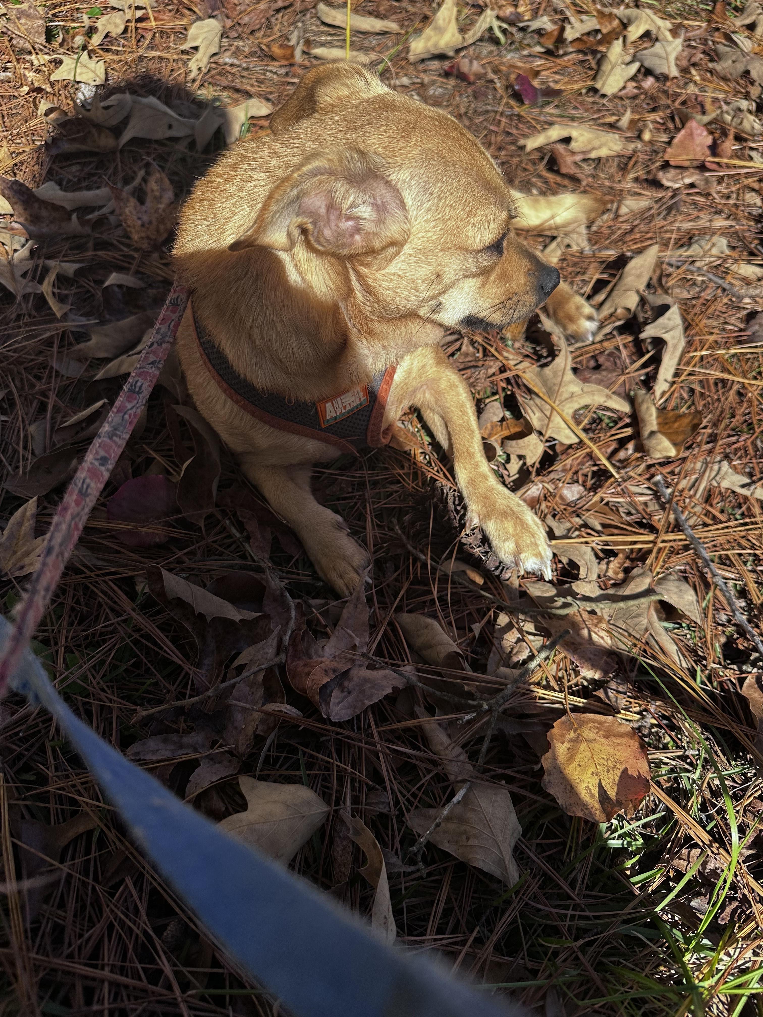 Mary & Larry- URGENT- Due to incoming weather!