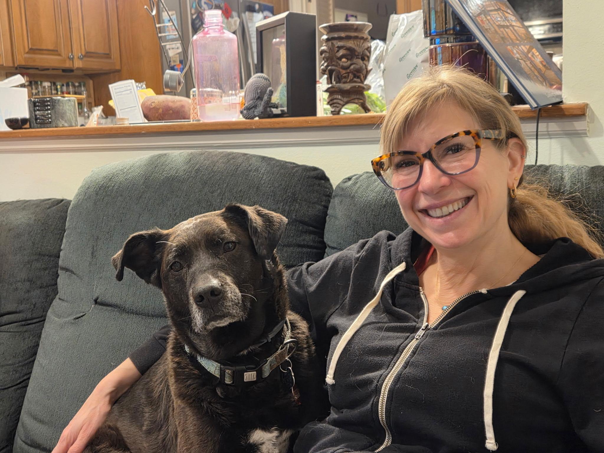 Enlarge Sonny, a ADOPTABLE Labrador Retriever in POTOMAC, MD image 4/6