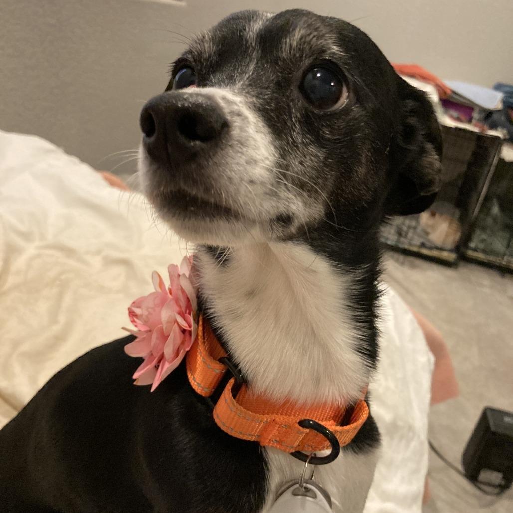 Lucy Leftovers — thumbnail 2