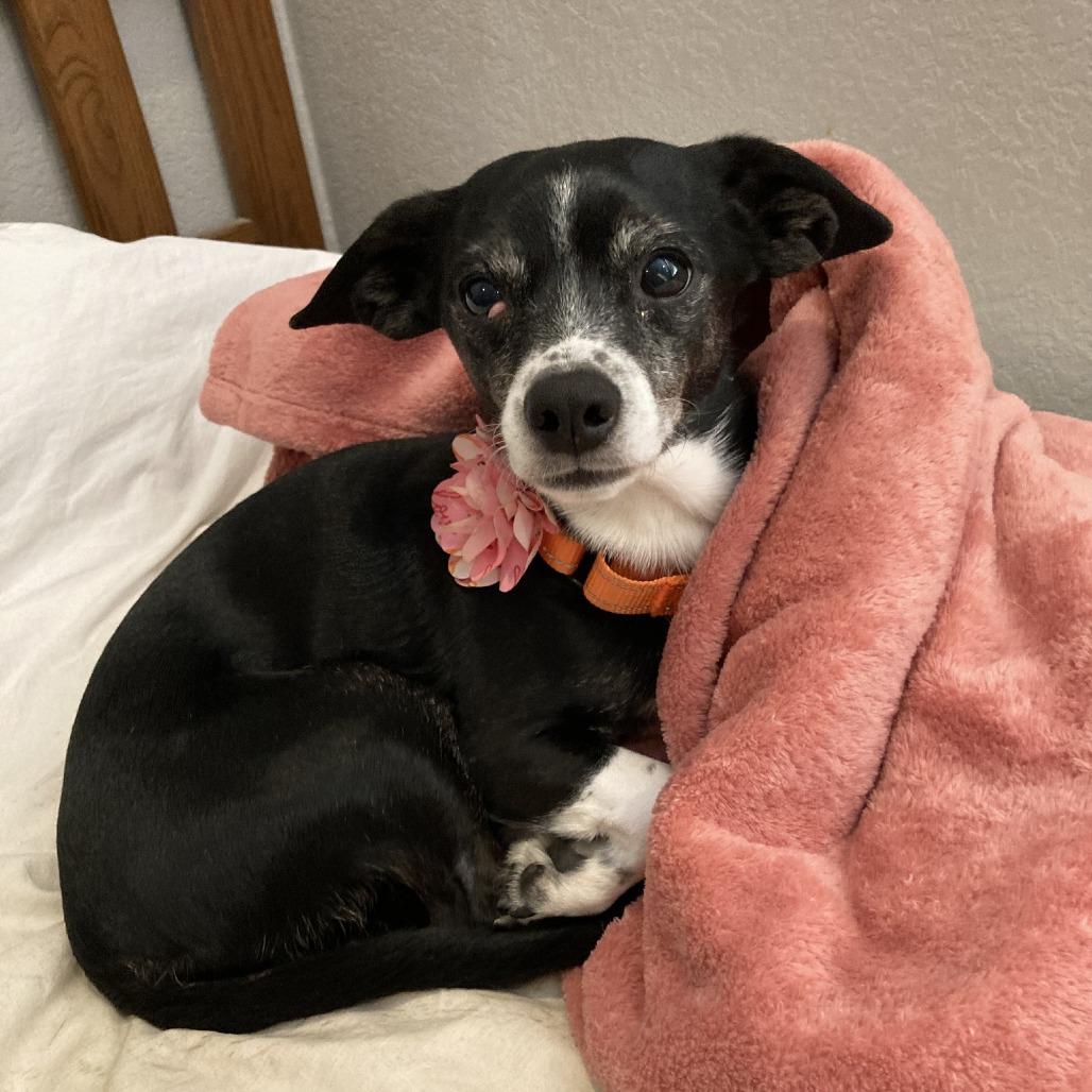 Lucy Leftovers — thumbnail 3