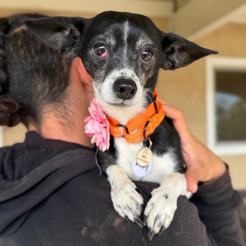 Lucy Leftovers — thumbnail 4