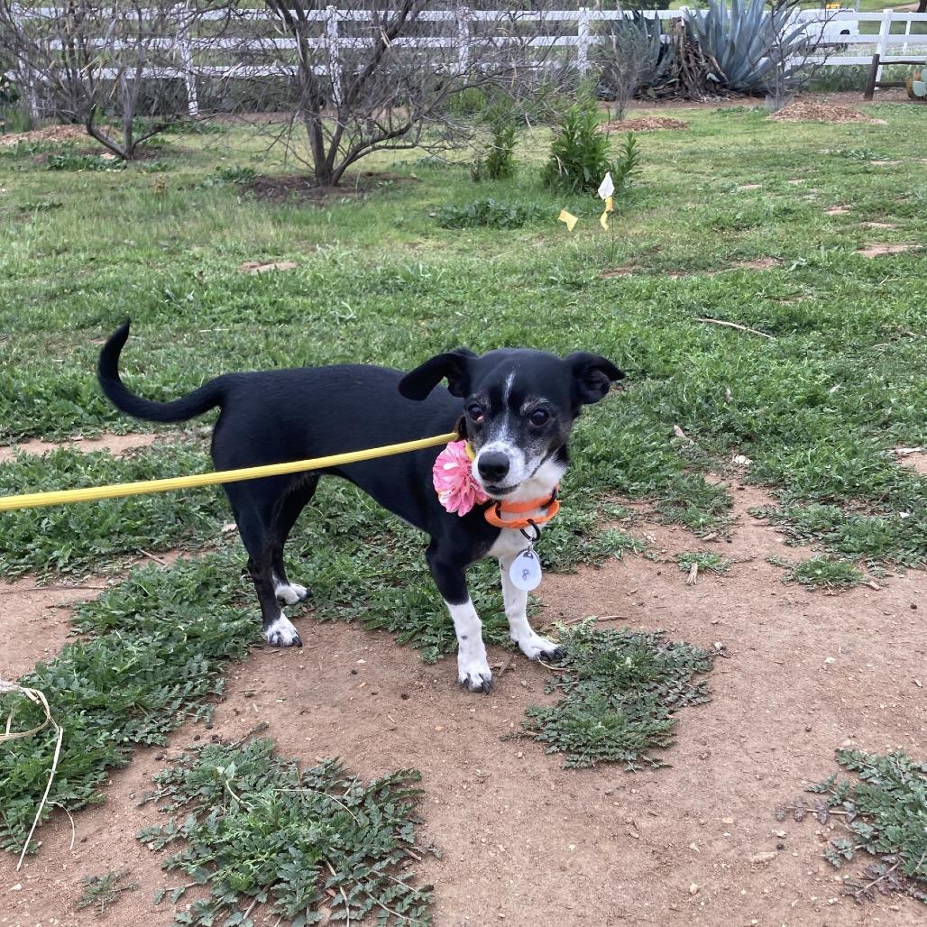 Lucy Leftovers — thumbnail 6