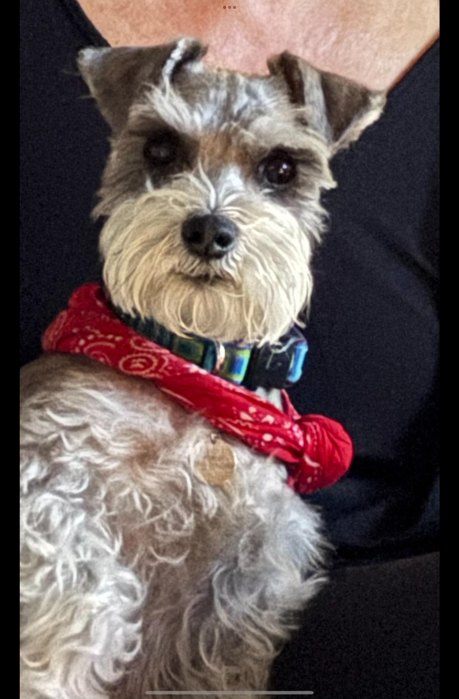 Bruno 2013