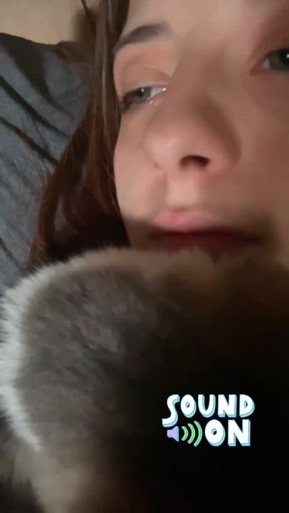 Enlarge Heidi May, a Adoptable Domestic Short Hair in Beckley, WV video 4/4