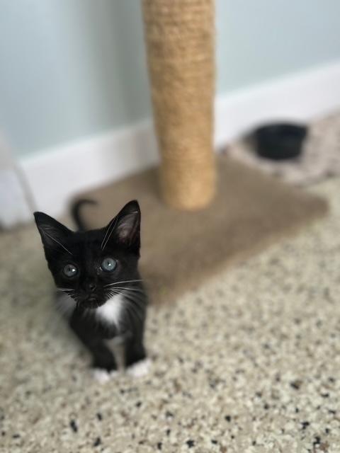 Fiona