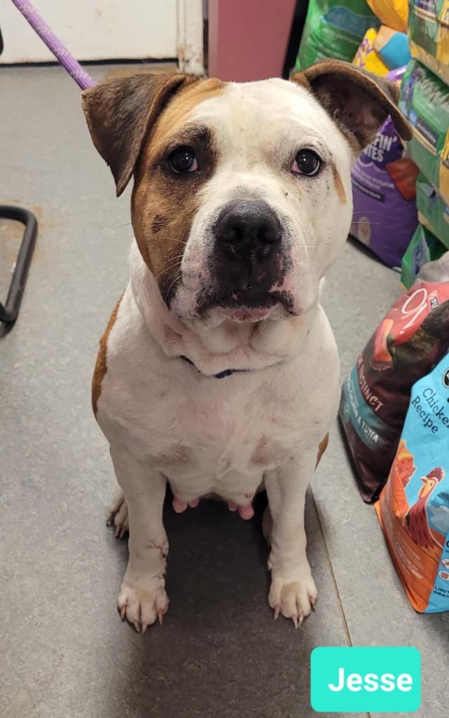 Jessesponsored thumbnail 3