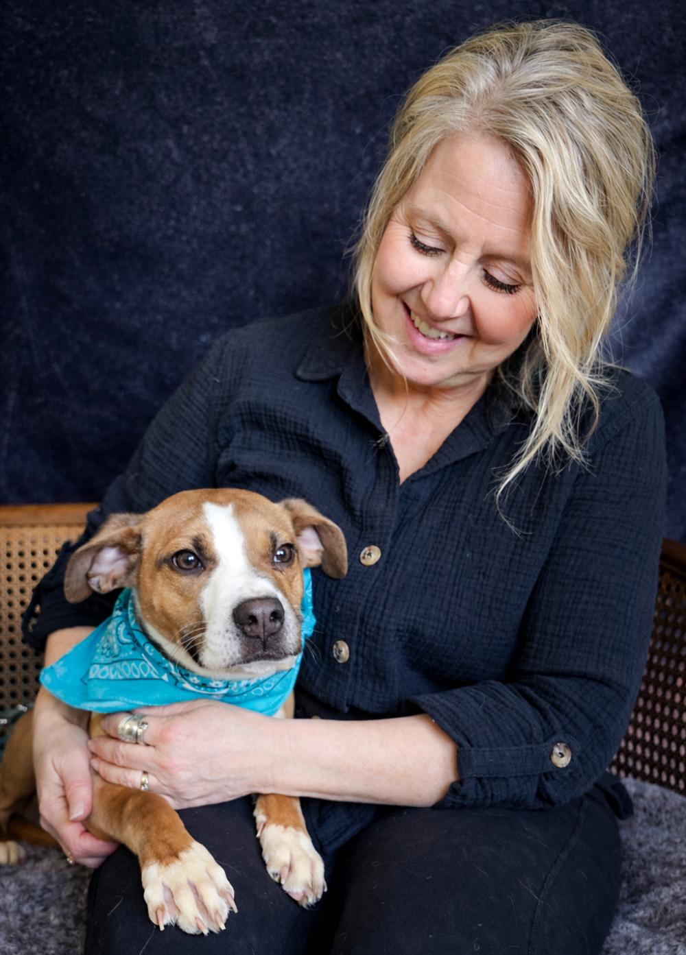 Enlarge Stitch, an adopted mixed breed in Cheboygan, MI image 5/6