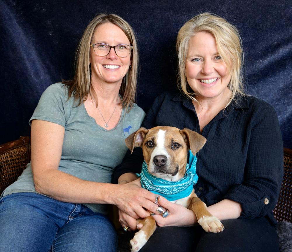 Enlarge Stitch, an adopted mixed breed in Cheboygan, MI image 4/6