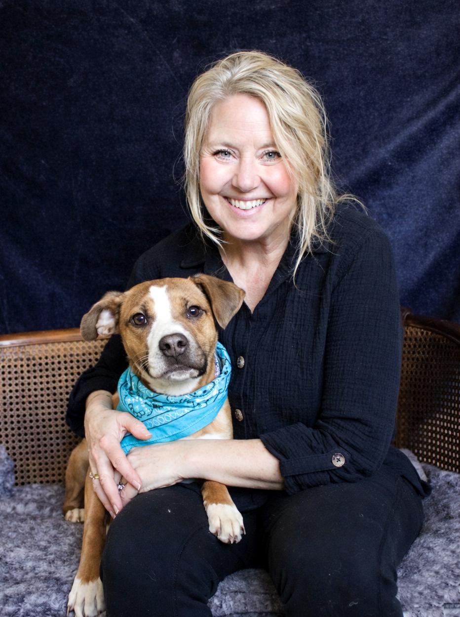 Enlarge Stitch, an adopted mixed breed in Cheboygan, MI image 2/6