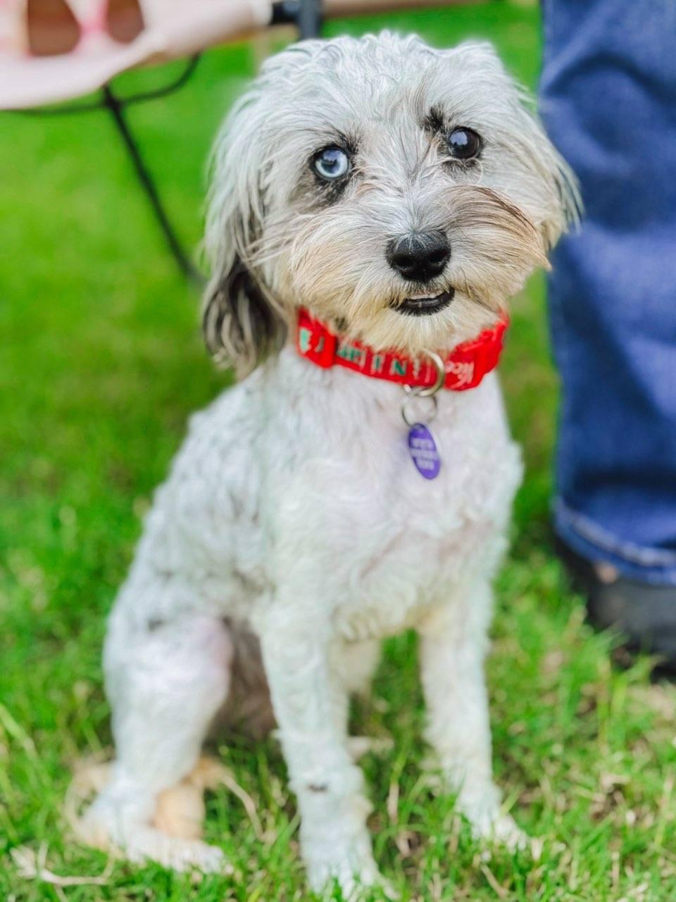 Bella