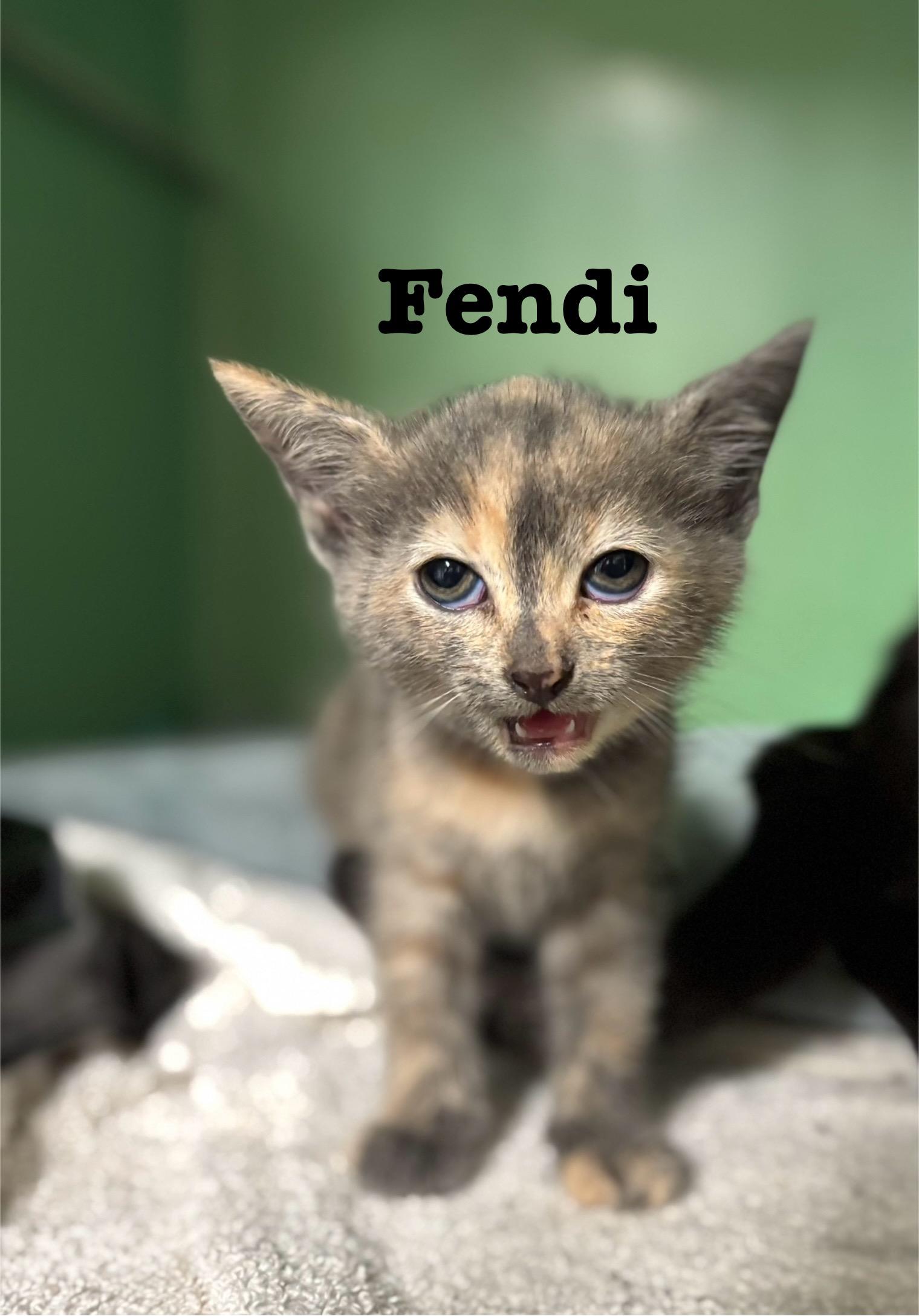Fendi
