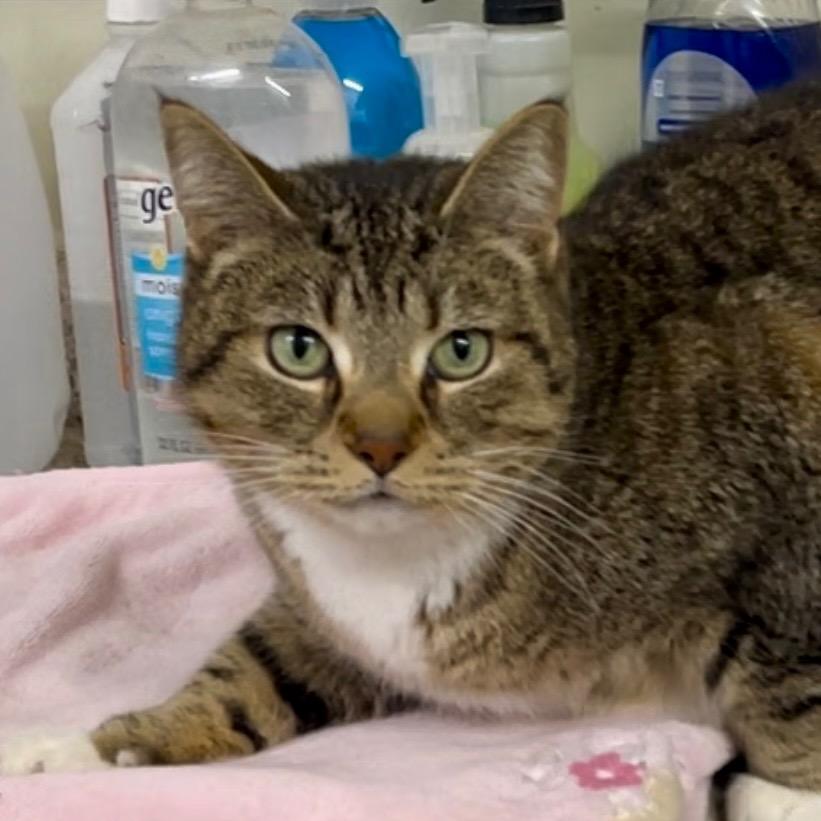 POMMEROY — thumbnail 3