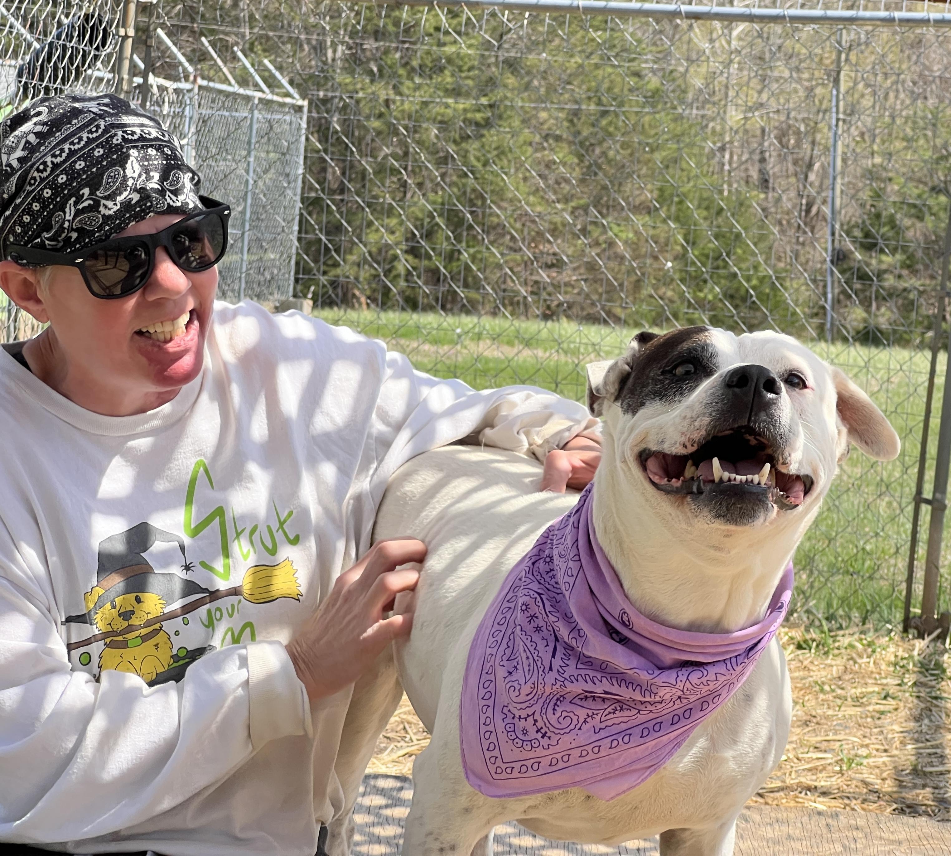 Enlarge Riley, a Adoptable mixed breed in Palmyra, VA image 6/6