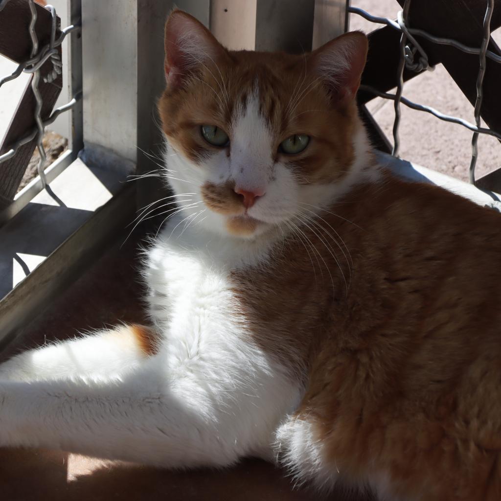 Roary — thumbnail 3