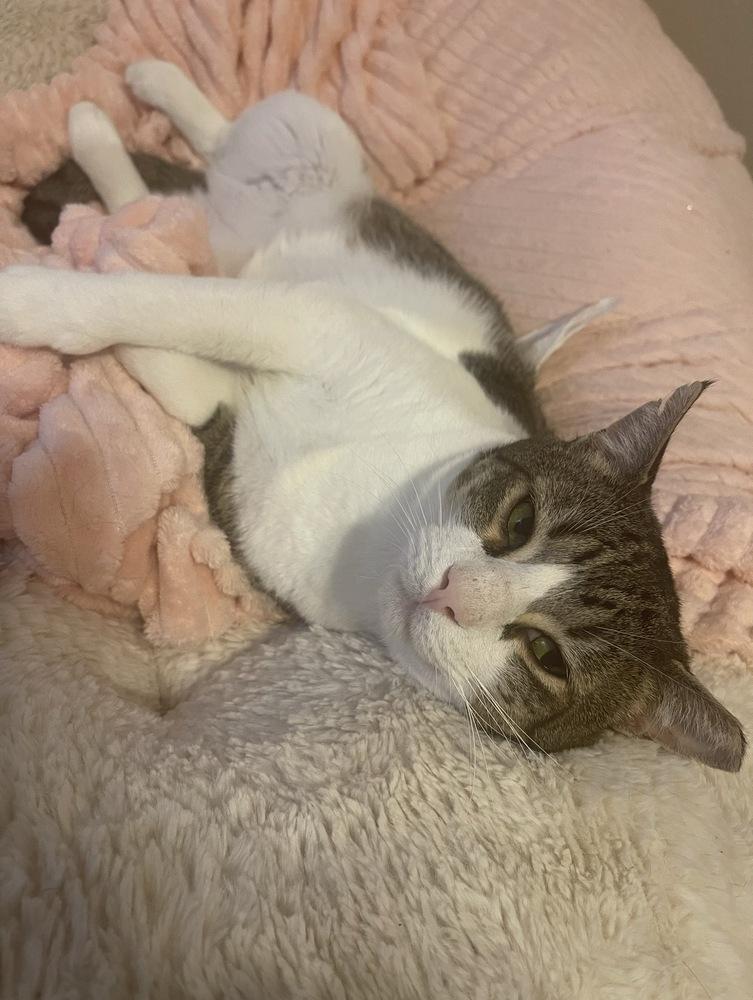 Bumi — thumbnail 2