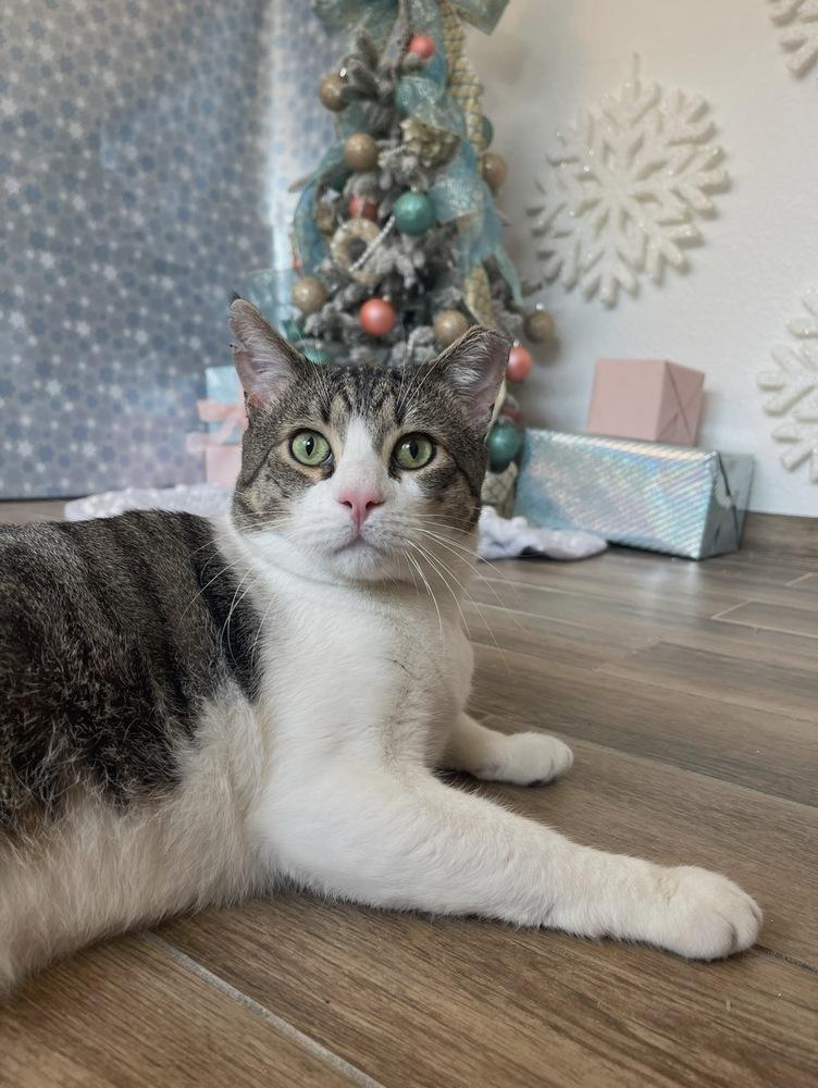 Bumi — thumbnail 3