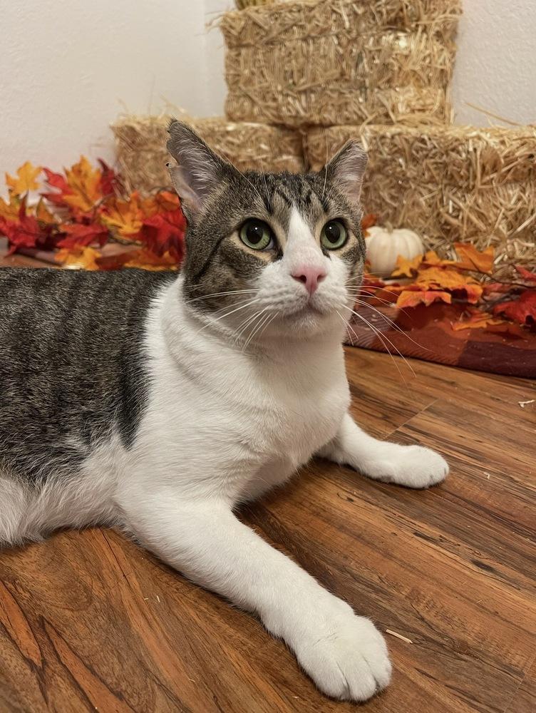 Bumi — thumbnail 5