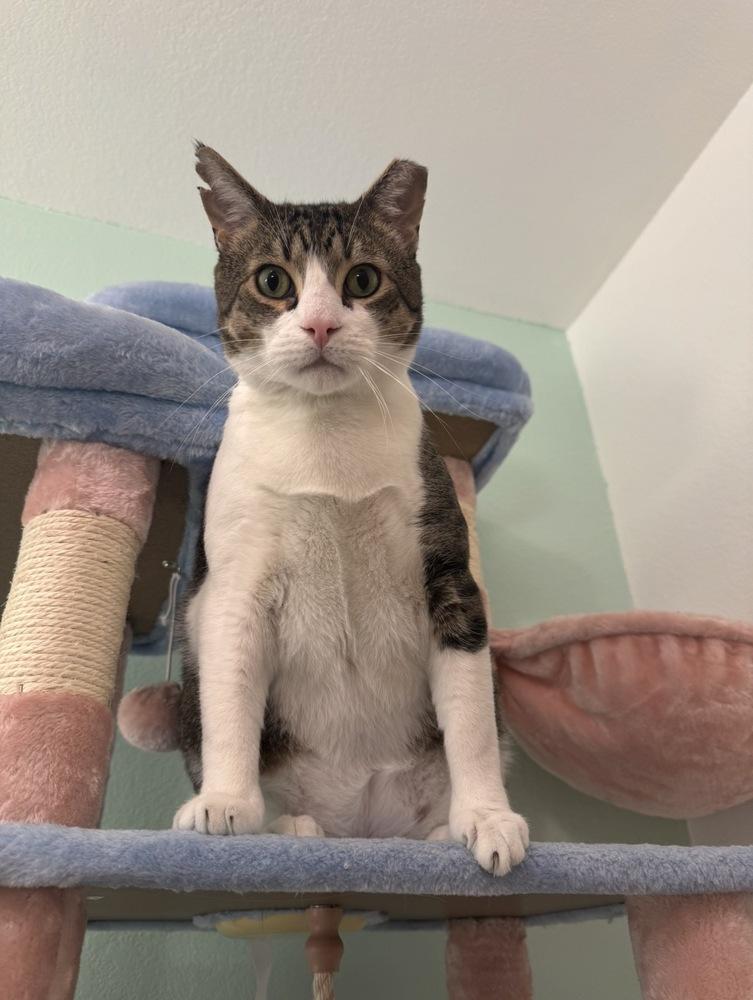 Bumi — thumbnail 6