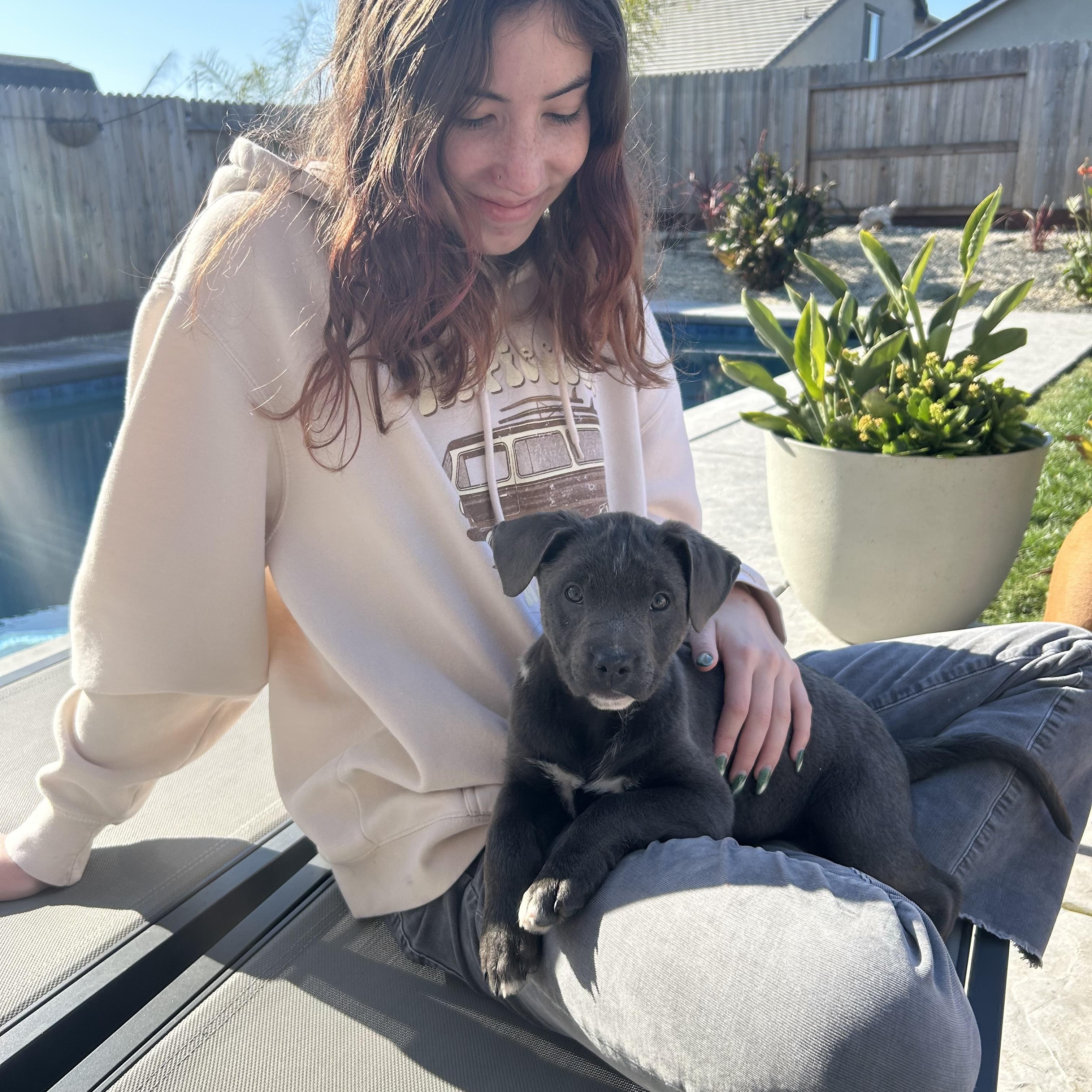 Enlarge JOJO!, a Adoptable mixed breed in San Deigo, CA image 1/5