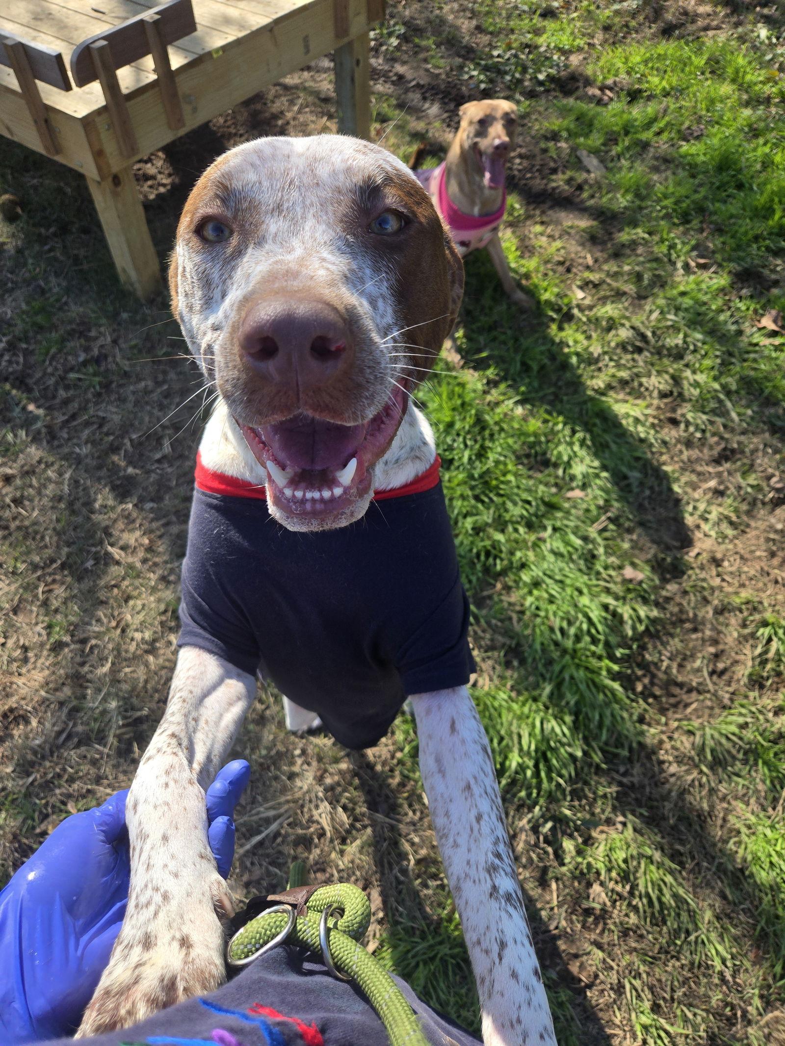 Warren — thumbnail 2