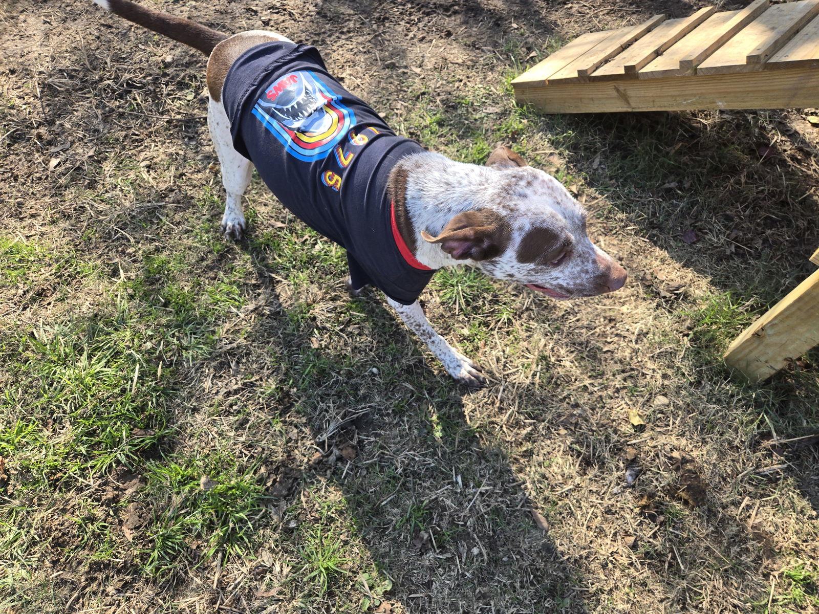 Warren — thumbnail 3