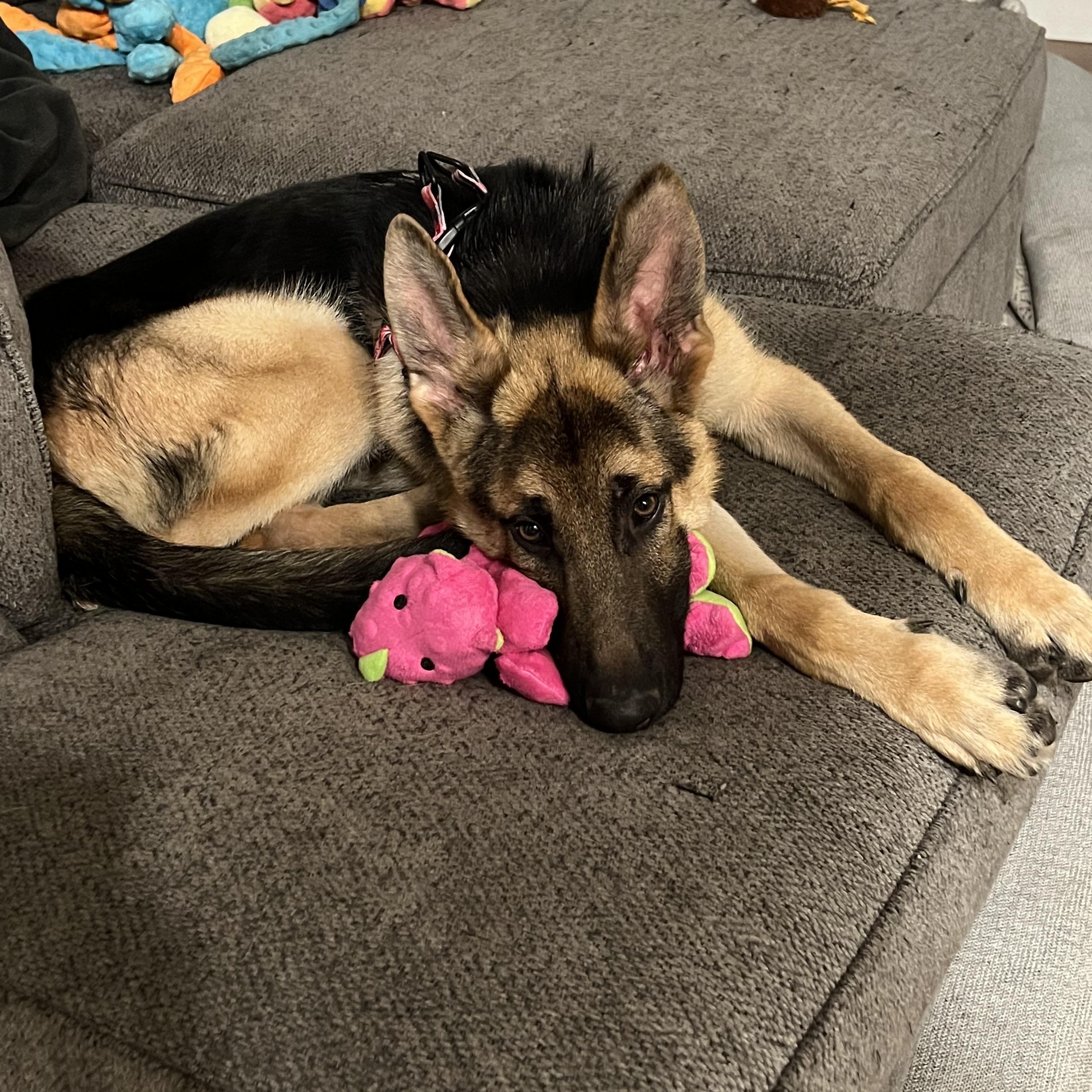 Max