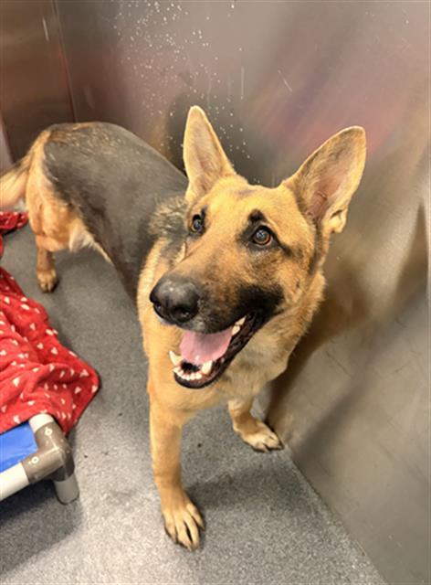 LUCINDA — thumbnail 2