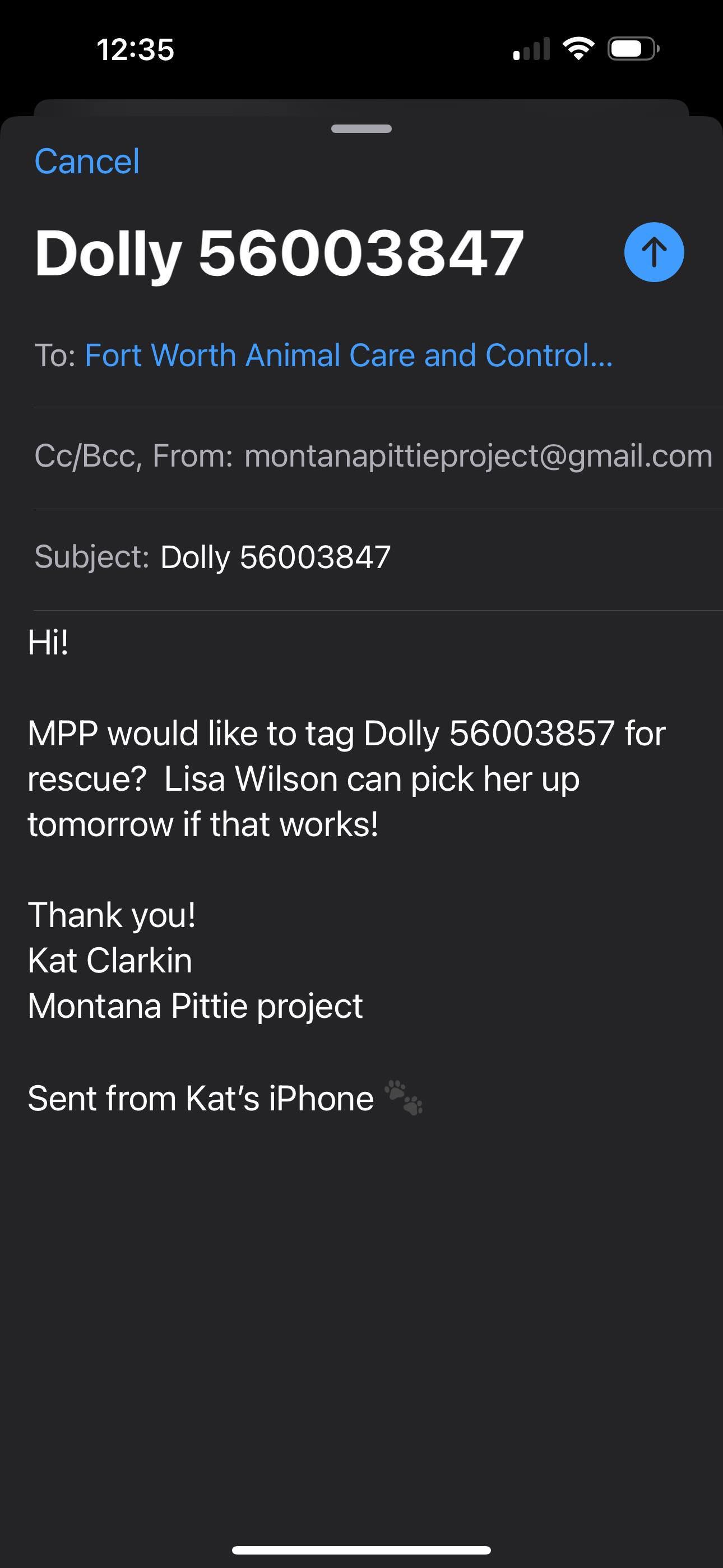 Enlarge Dolly #3 (Dolly Parton), a Adopted mixed breed in Arlee, MT image 5/6