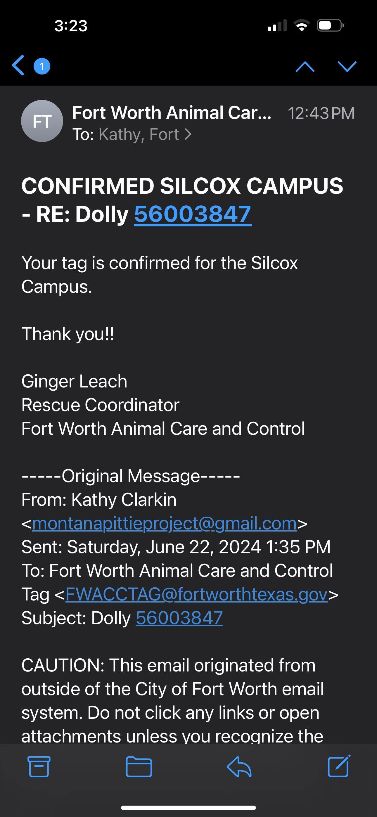 Enlarge Dolly #3 (Dolly Parton), a Adopted mixed breed in Arlee, MT image 6/6