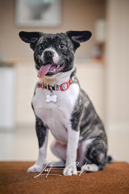 Beans — thumbnail 2