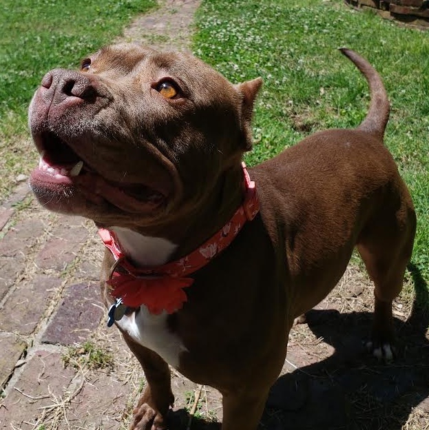 CoCo