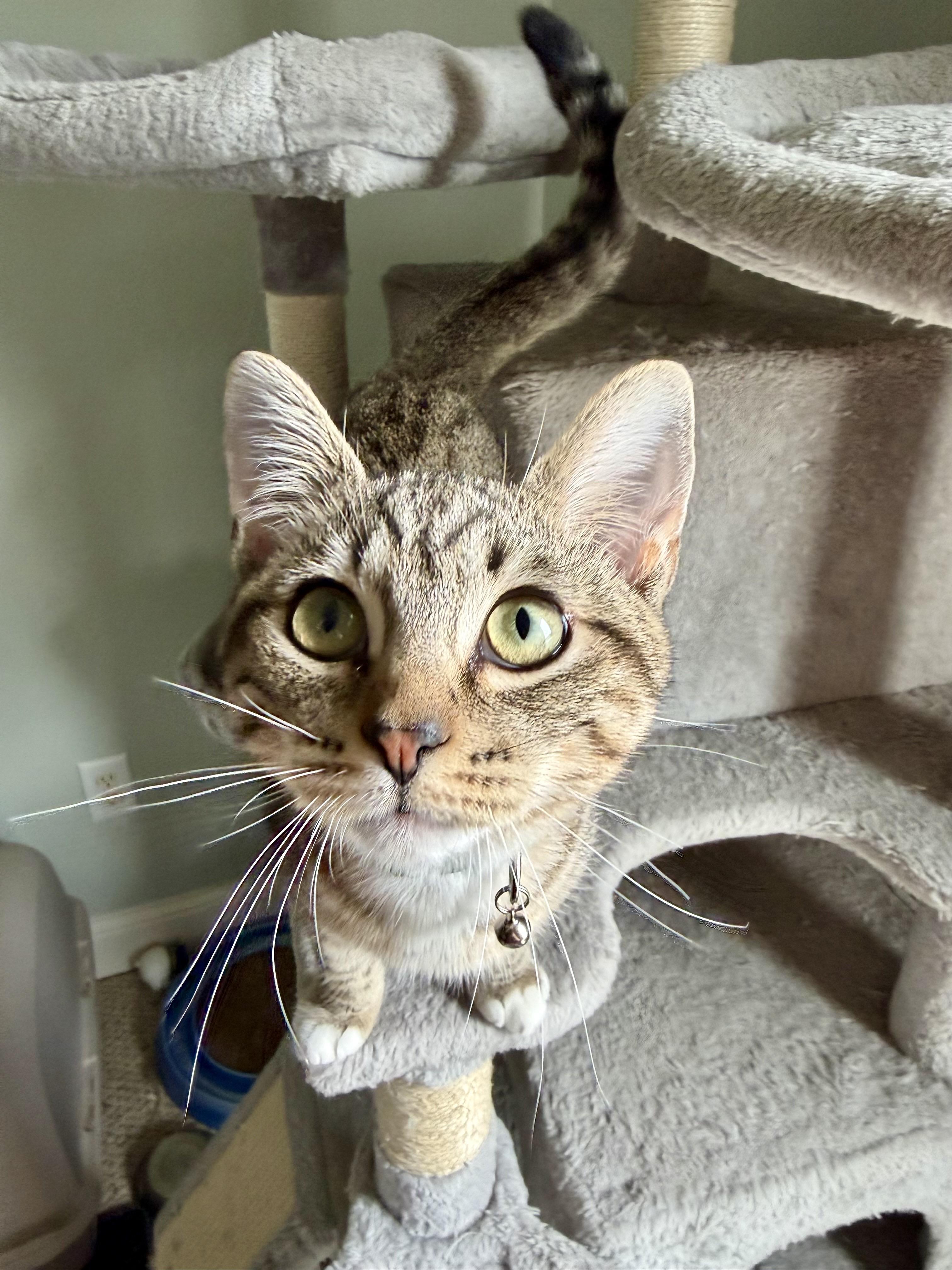 Poseidon - Greensboro GA