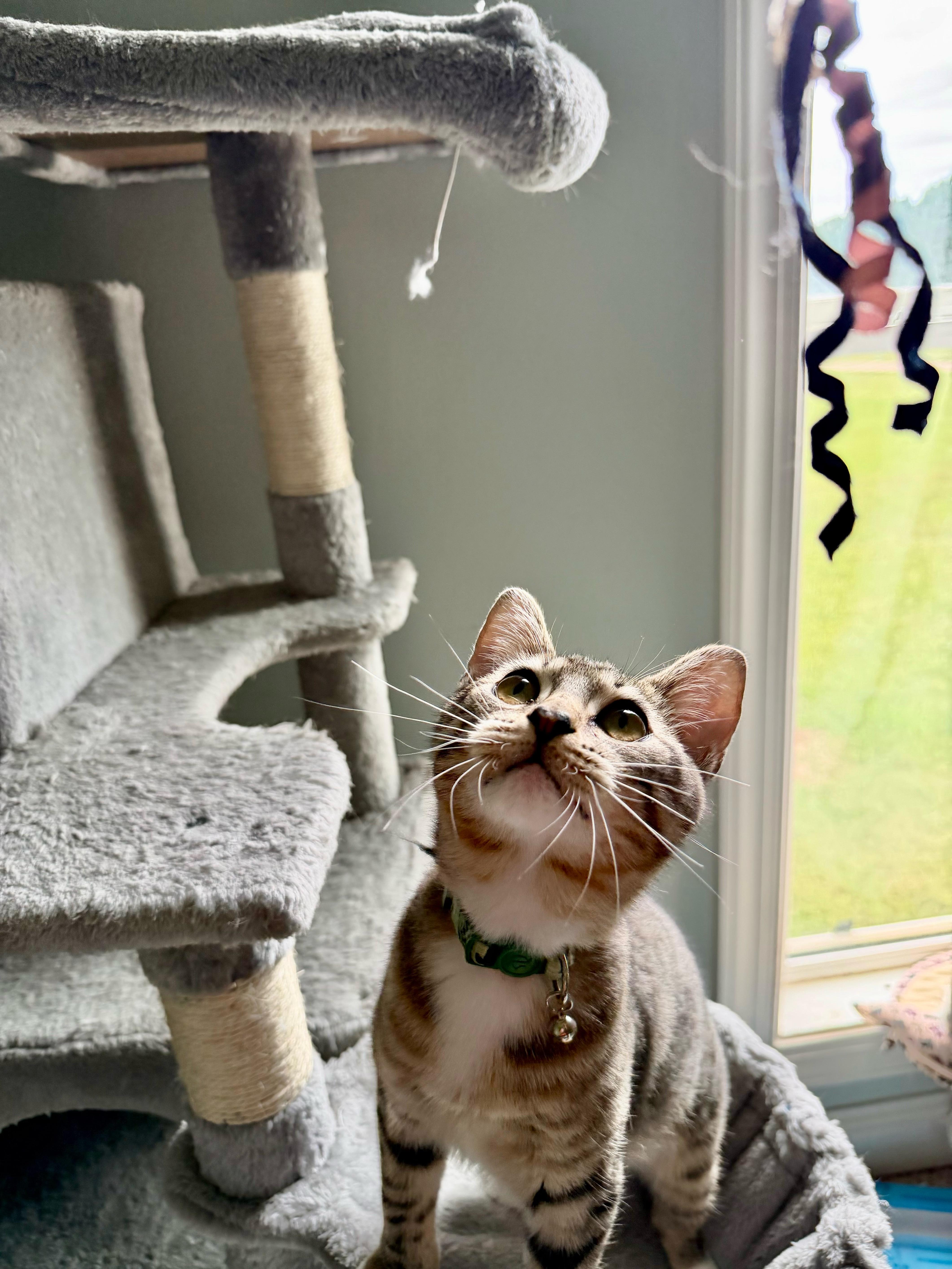 Poseidon - Greensboro GA