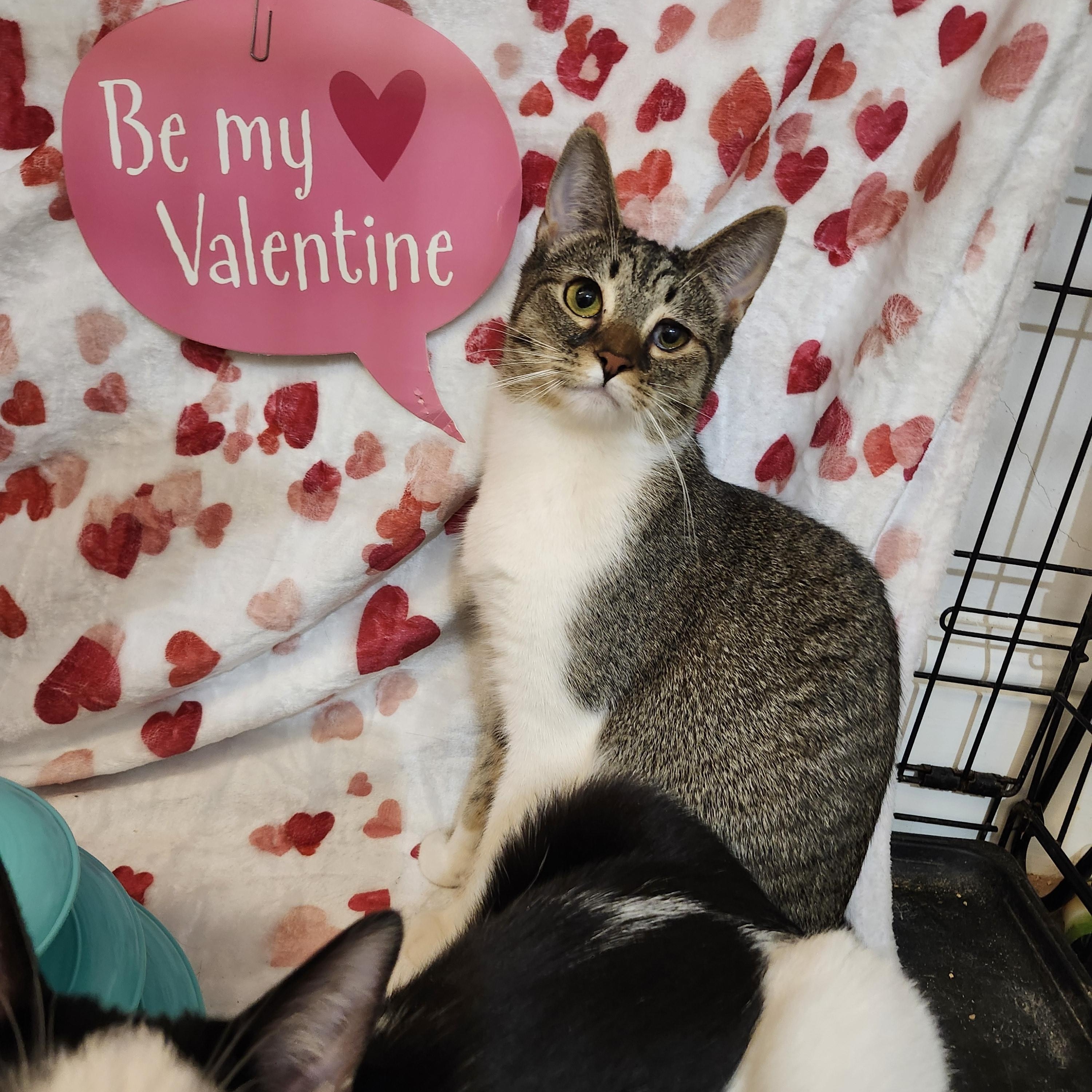 Blake Lively — thumbnail 3