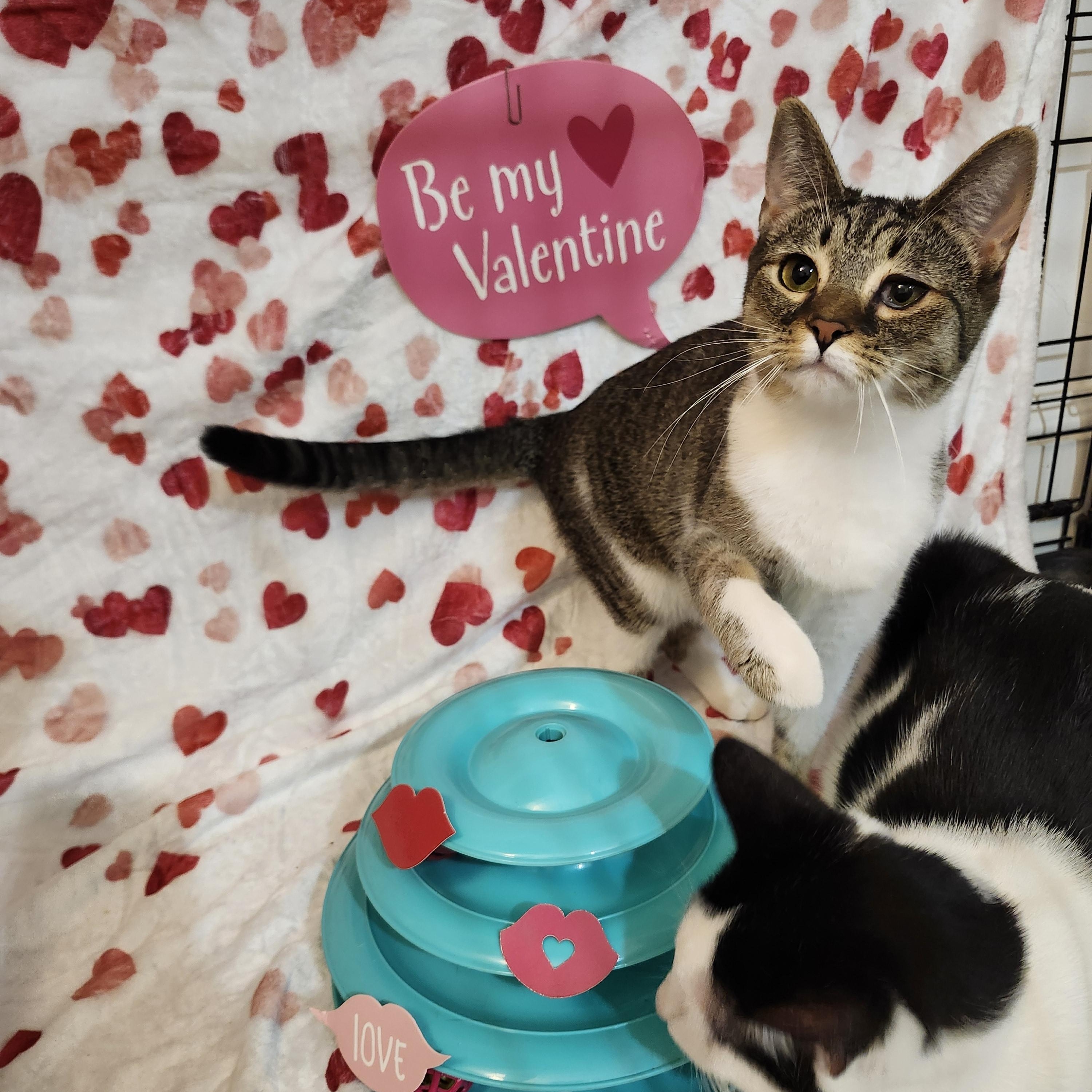 Blake Lively — thumbnail 4