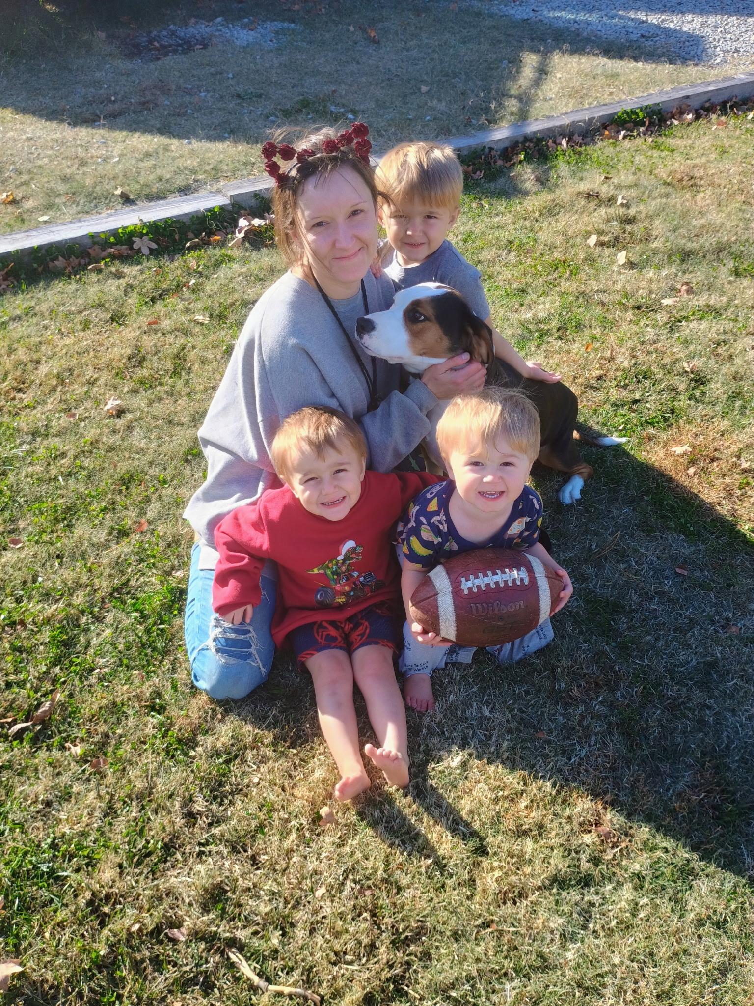 Enlarge Daisy Rose, a Adopted mixed breed in Medfield, MA image 2/5