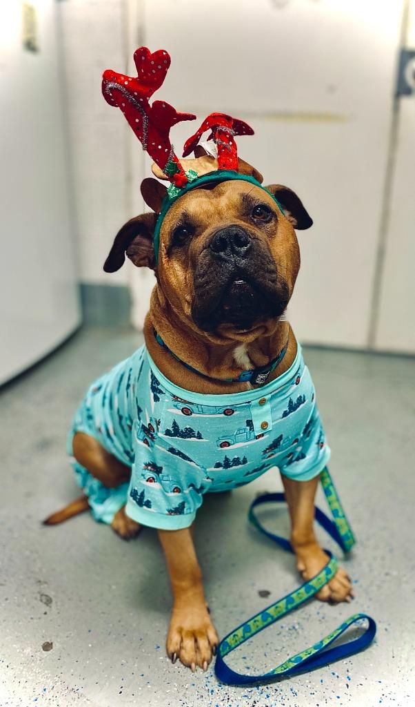 Method Man thumbnail 2