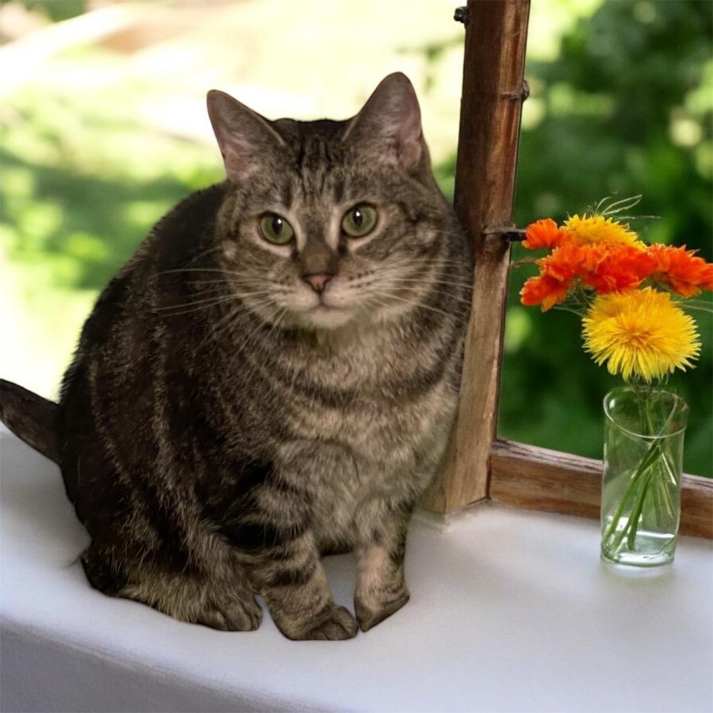 SUKI (bonded w/Kentaro)